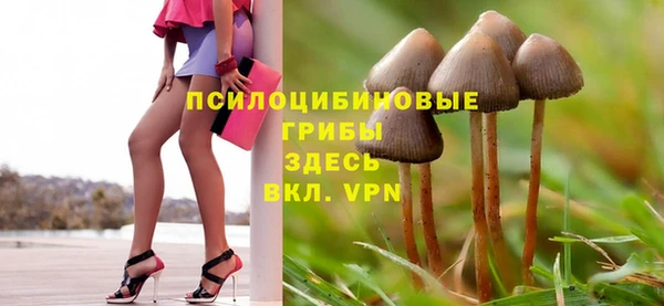 дмт Верхний Тагил