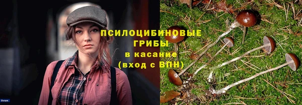 дмт Верхний Тагил